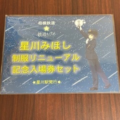 【相鉄線沿い受渡可】相模鉄道 星川みほし 入場券セット 切符