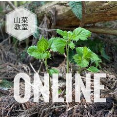 山菜オンライン教室！　美味しい山菜が学べる場所！　オンラインの画像