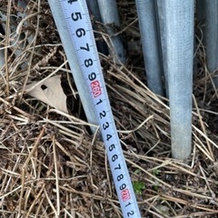 きゅうり　トマト　ハウスパイプ46本