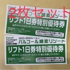 【ネット決済・配送可】パルコール嬬恋リゾート　リフト1日優待券×...