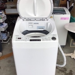 お買い得‼️SHARPシャープ 乾燥機能付き洗濯機 ES-TX8E-W 2021年製