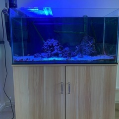 ★決まりました★ 海水魚　90センチ水槽　一式  