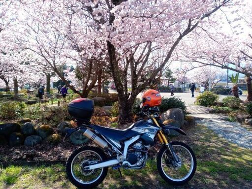 ＷＲ２５０R