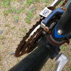 コラテック自転車