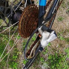 コラテック自転車