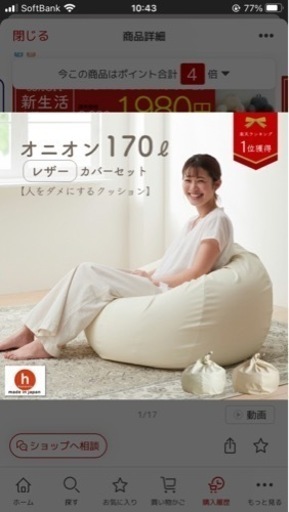 レザーカバーセット おっきいオニオン170リットル ビーズクッション