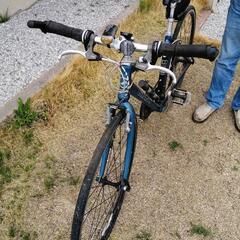 クロスバイク?ロード?マウンテン?