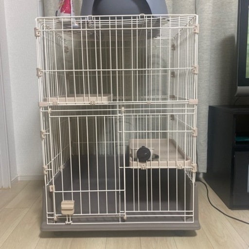 裏物実機 サファリラリー アニマルver エーアイ