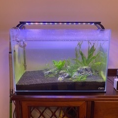 水槽とフィルターセット・Co2システムキット【備品付き】