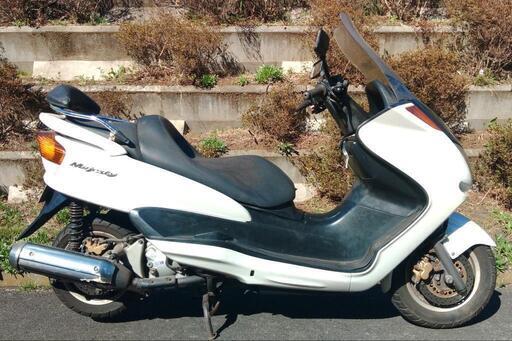 マジェスティ250　2型　ノーマル車　(1846)