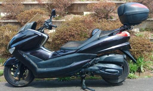 マジェスティ250　SG20　走行11700キロ　オイル・クーラント交換済　(1837)