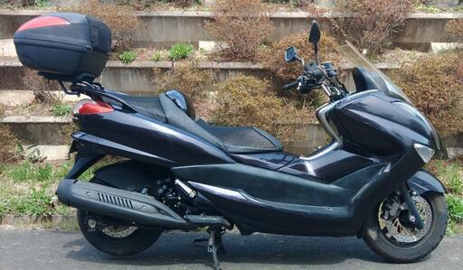 マジェスティ250　SG20　走行11700キロ　オイル・クーラント交換済　(1837)