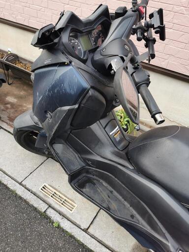 まゆの ゼッペケ