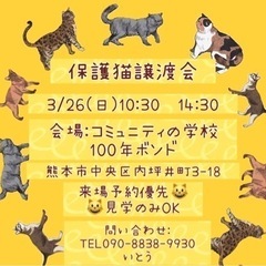 猫ちゃんに会いに来ませんか?保護猫　譲渡会🐈💕