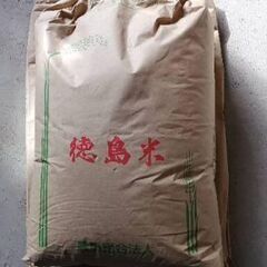 令和4年産　徳島県産キヌヒカリ　玄米30kg