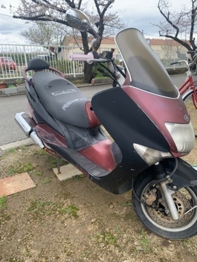 コマジェ　125