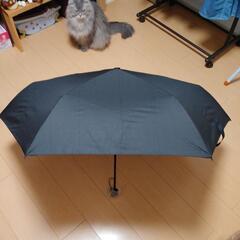 折り畳み傘　大きいサイズ