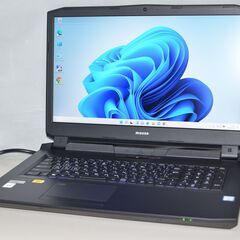 【ネット決済・配送可】訳ありMOUSE NG-N-i7901BA...