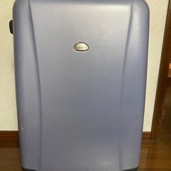 PIERRE RICHE 大型　四輪  スーツケース　紫