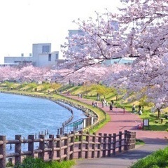 花見会🌸