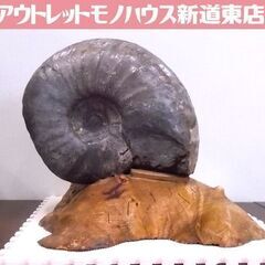 アンモナイト 化石 大型 幅28cm 重量16.5kg 台座付き...