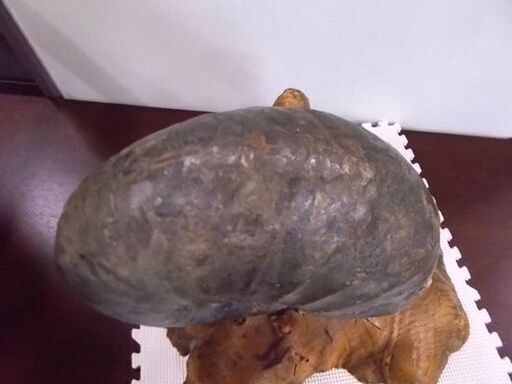アンモナイト 化石 大型 重量 45kg 台座付き 詳細不明 オブジェ