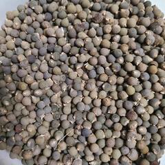 オクラの中古が安い！激安で譲ります・無料であげます(44ページ  