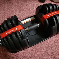 値下げ！　ダンベル 可変式 24kg 2個  15段階調整