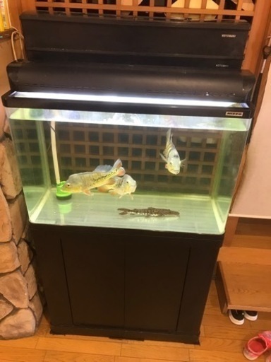 90cm 水槽セット①