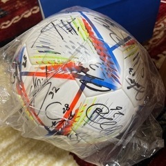 カターレ富山　サインボール