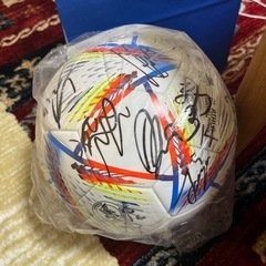 カターレ富山　サインボール