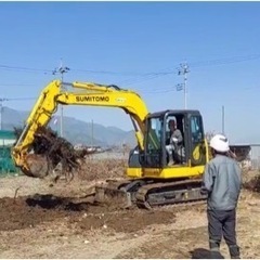 抜根　伐採　解体　格安(相見積大歓迎