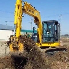 抜根　伐採　解体　格安(相見積大歓迎