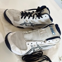 asics 22cm バスケットシューズ　ローカット