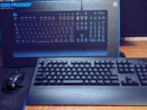 ゲーミング周辺3点セット・logicool G213・G300s・EDGE