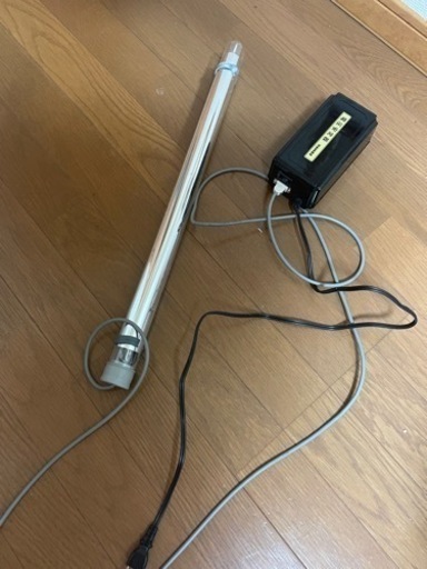 テイニングライト2本セット