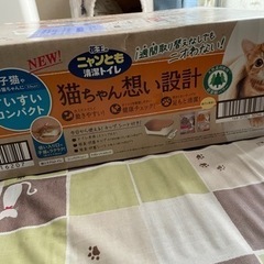 子猫用システムトイレ　未開封