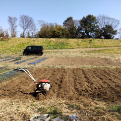 川越の福田地区で家庭菜園を手伝ってくださる方数名募集