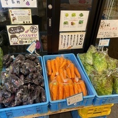 野菜無人販売所　餃子香月藍住店内