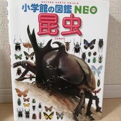 小学館の図鑑NEO 昆虫