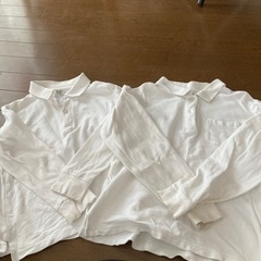 半袖　白　ポロシャツ　幼稚園　制服　120と130男女兼用