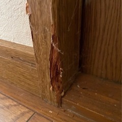 ドア・床の傷、壁紙クロスの剥がれ等リペア致します！
