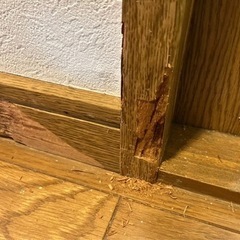 ドア・床の傷、壁紙クロスの剥がれ等リペア致します！ - 松江市
