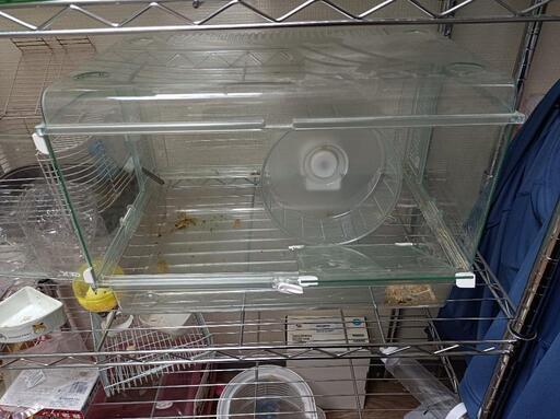 ガラスのゲージ(今日中)