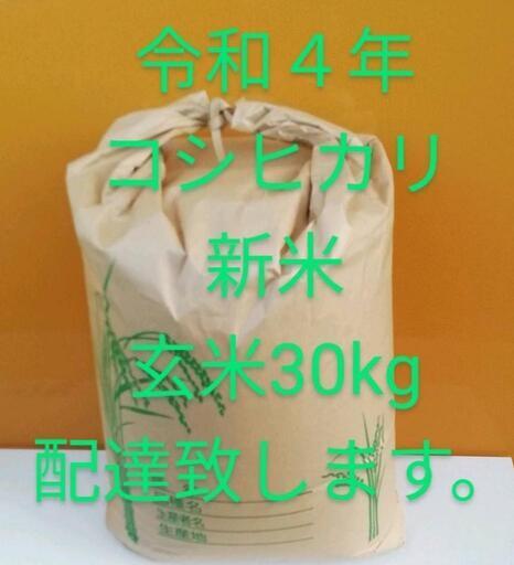 玄米30kg 埼玉県内手渡し④