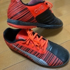 トレーニングシューズ2足(PUMA/NIKE)