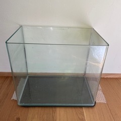 オールガラス水槽＆シリコンマット　ニューアール310