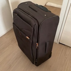 Lysのソフトスーツケース譲ります！