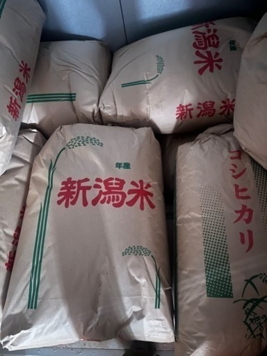 人気No.1 節約 R4年度産 コシヒカリ ギター