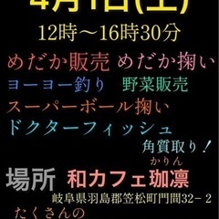 めだか販売　ドクターフィッシュ　他イベント満載！